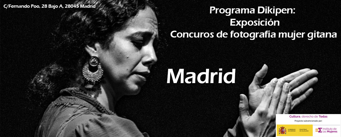 Proyecto Dikipen