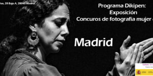 Proyecto Dikipen